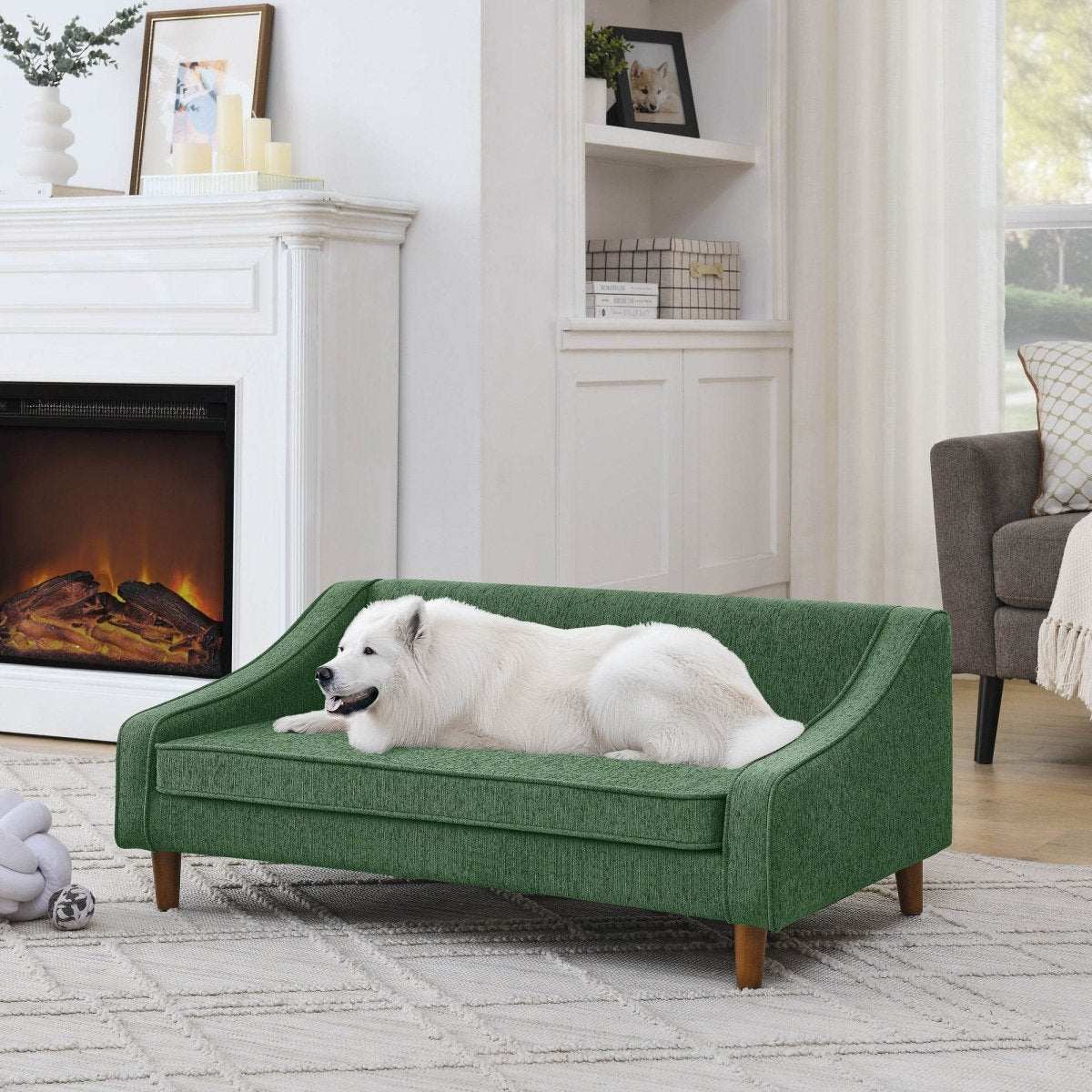 Modern Durable Elevated Foam Dog Sofa Bed - Sleep Galleria