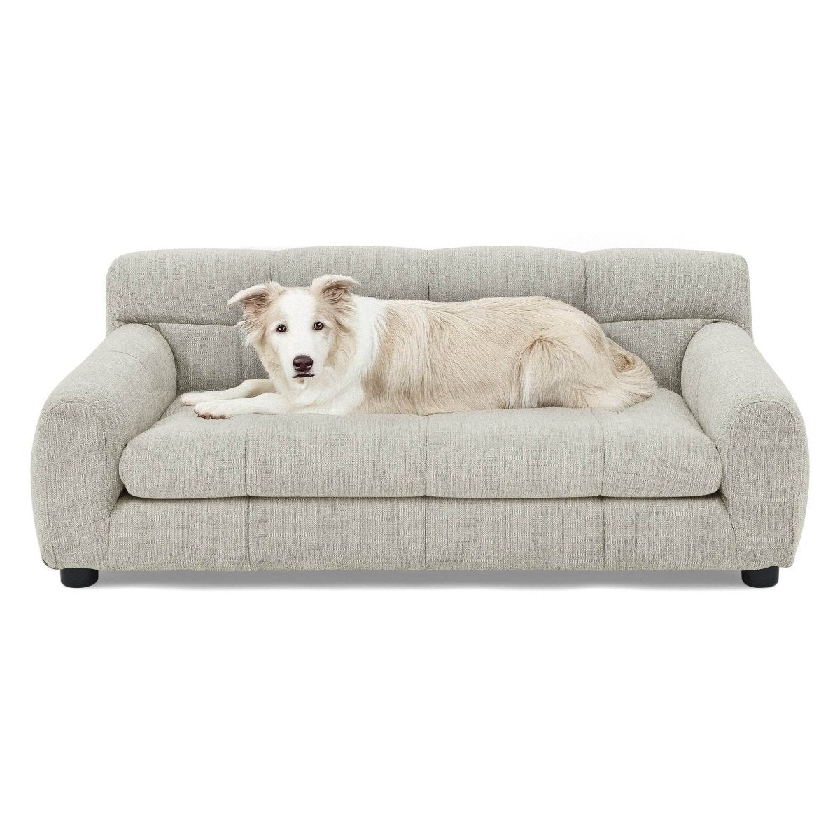 Modern Linen Fabric Pet Sofa With Armrests - Sleep Galleria