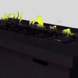 20732422