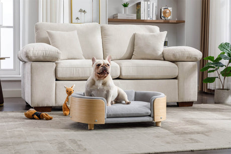 Scandinavian Elevated Large Dog Bed With Velvet Cushion - Sleep Galleria