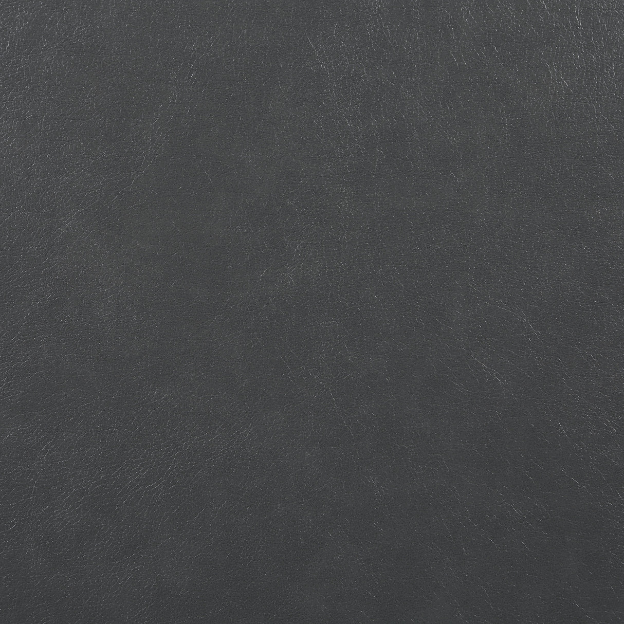 20557564