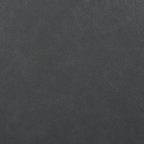 20557564