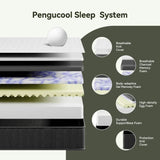 Medium 10 - Inch Cooling Charcoal Memory Foam Mattress - GUANGBAI - Sleep Galleria