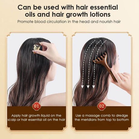 Natural Sandalwood Six - Claw Meridian Massage Comb - Hailicare - Sleep Galleria