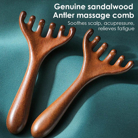 Natural Sandalwood Six - Claw Meridian Massage Comb - Hailicare - Sleep Galleria