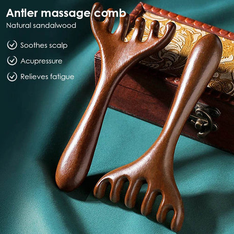 Natural Sandalwood Six - Claw Meridian Massage Comb - Hailicare - Sleep Galleria
