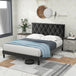 Velvet Upholstered Queen Platform Bed Frame With Headboard - HUANZHUANG - Sleep Galleria