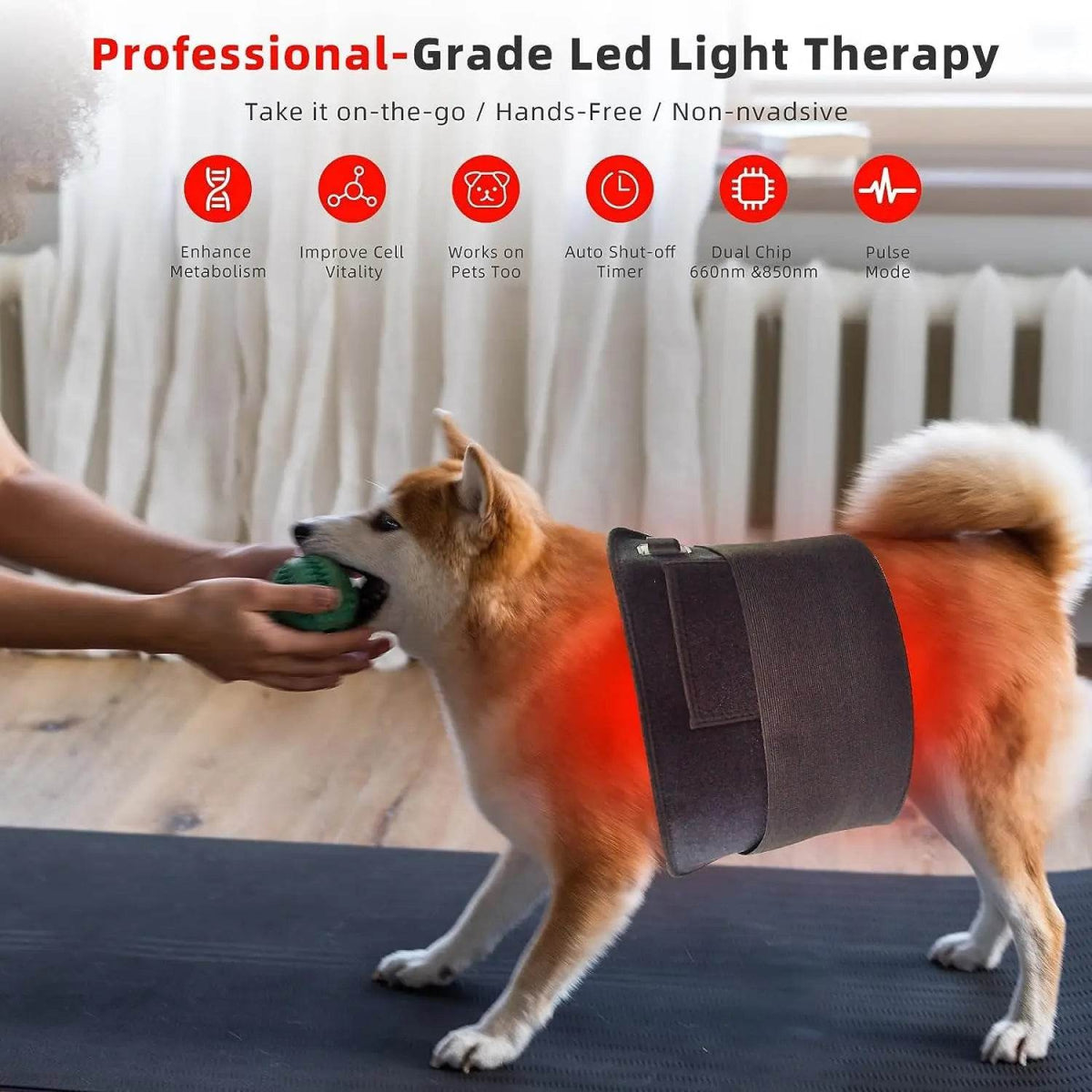 Red Infrared Light Therapy Pad with Dual Wavelengths - Junneeled - Sleep Galleria