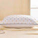 Antibacterial Cervical Spine Support Pillow - Lism - Sleep Galleria