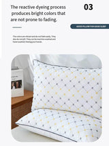 Antibacterial Cervical Spine Support Pillow - Lism - Sleep Galleria