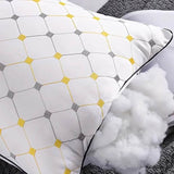 Antibacterial Cervical Spine Support Pillow - Lism - Sleep Galleria