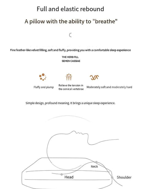 Antibacterial Cervical Spine Support Pillow - Lism - Sleep Galleria