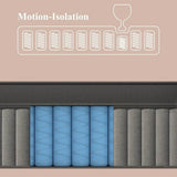 11-Inch Hybrid Memory Foam Mattress - Sleep Galleria