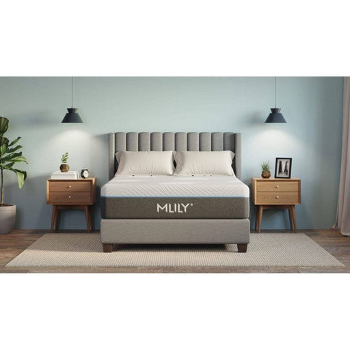 Mlily Mattresses Mlily Fusion Luxe Firm Hybrid Mattresses