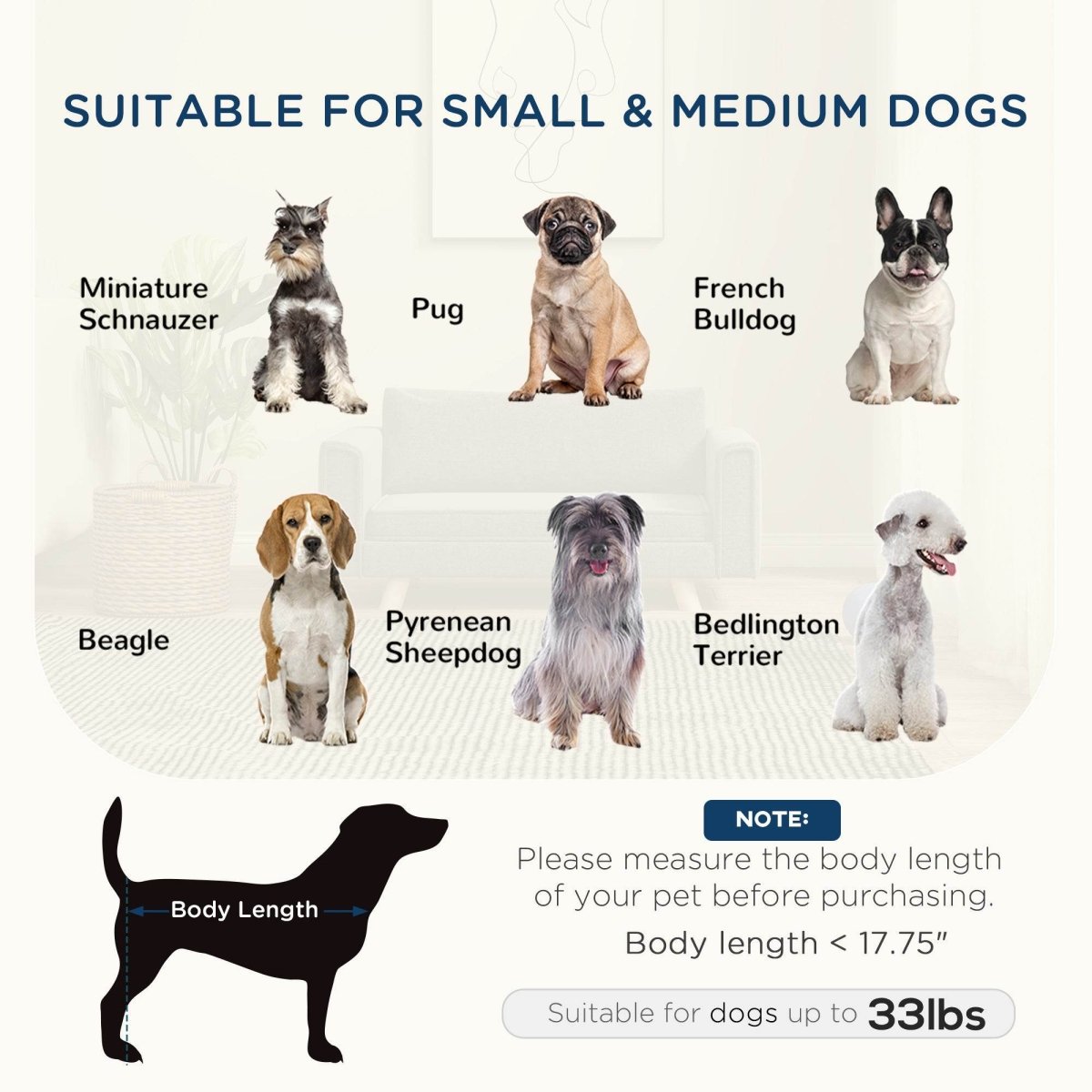 Elevated Pet Sofa With Removable Cushions And Anti-Slip Pads - Sleep Galleria