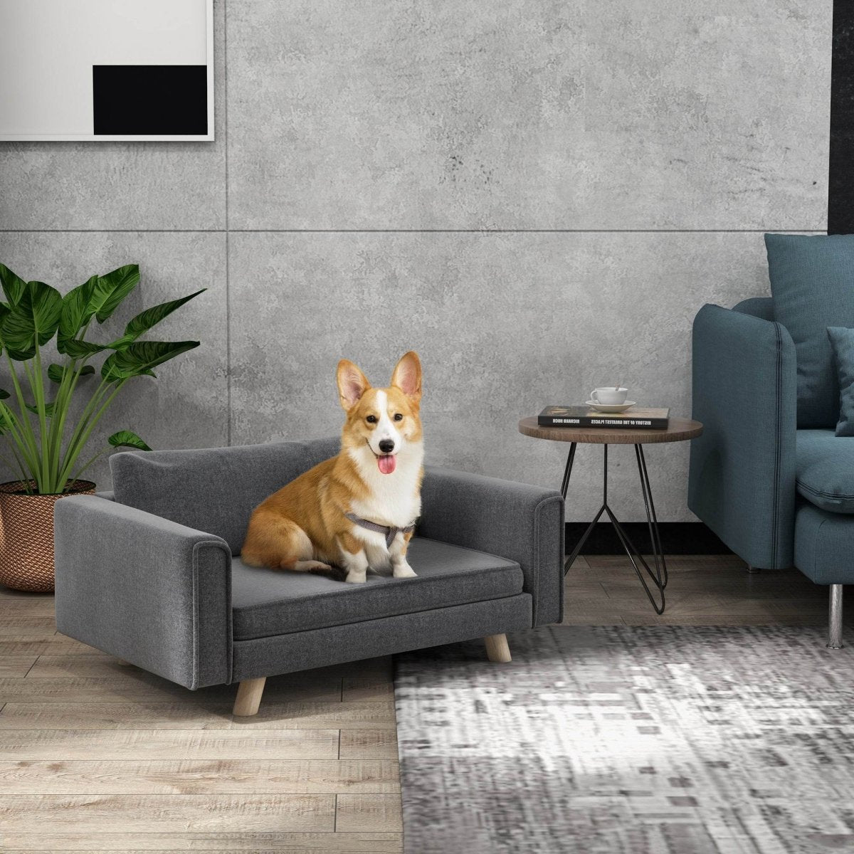 Elevated Pet Sofa With Removable Cushions And Anti-Slip Pads - Sleep Galleria
