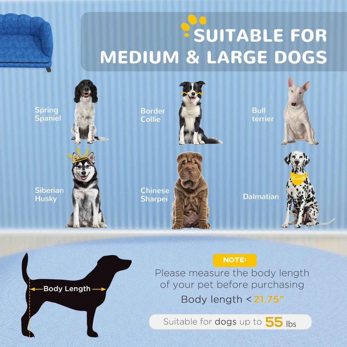 Velvet Large Dog Couch With Foam Cushion - Sleep Galleria