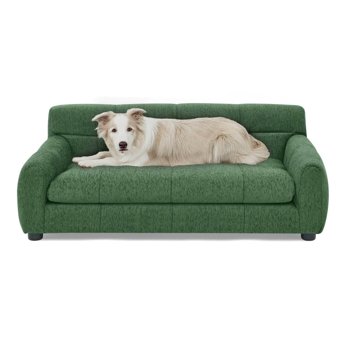 Modern Linen Upholstered Pet Sofa With Backrest - Sleep Galleria