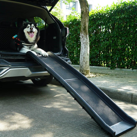 Portable Foldable Anti-Slip Pet Ramp Ladder - Sleep Galleria