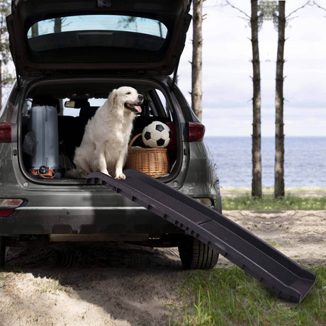 Portable Foldable Anti-Slip Pet Ramp Ladder - Sleep Galleria