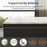 Soft Plush Hybrid Memory Foam Mattress 10-Inch - Sleep Galleria