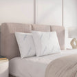 Set Of 2 Cooling Soft ISOTEMP Bed Pillows - Restonic - Sleep Galleria