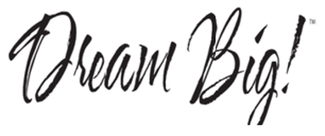 Set Of 2 Plush Microfiber Dream Big Bed Pillows - Sleep Galleria