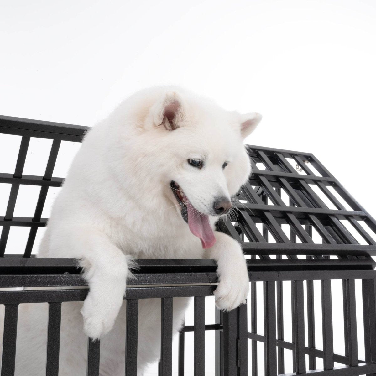 Heavy Duty 52-Inch Carbon Steel Dog Crate With Wheels - Sleep Galleria