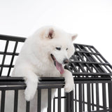 Heavy Duty 52-Inch Carbon Steel Dog Crate With Wheels - Sleep Galleria