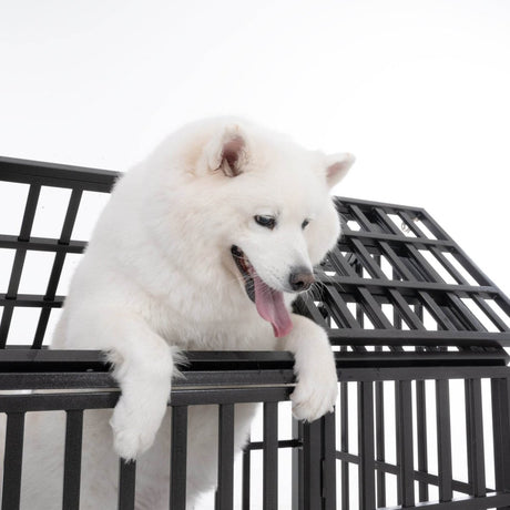 Heavy Duty 52-Inch Carbon Steel Dog Crate With Wheels - Sleep Galleria
