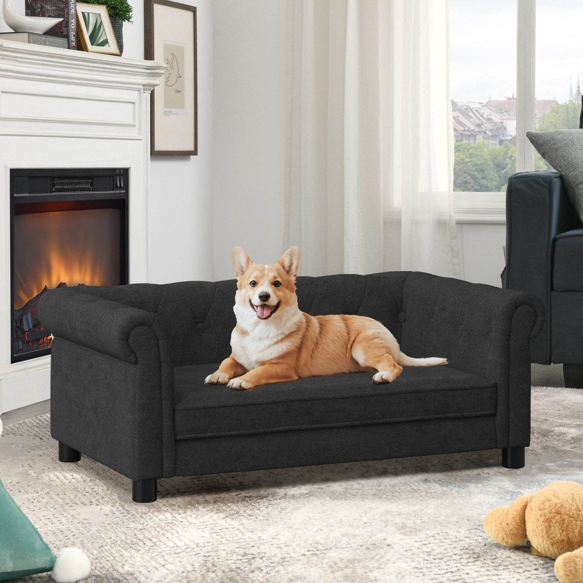 Modern Elevated Foam Pet Sofa Bed For Dogs - Sleep Galleria