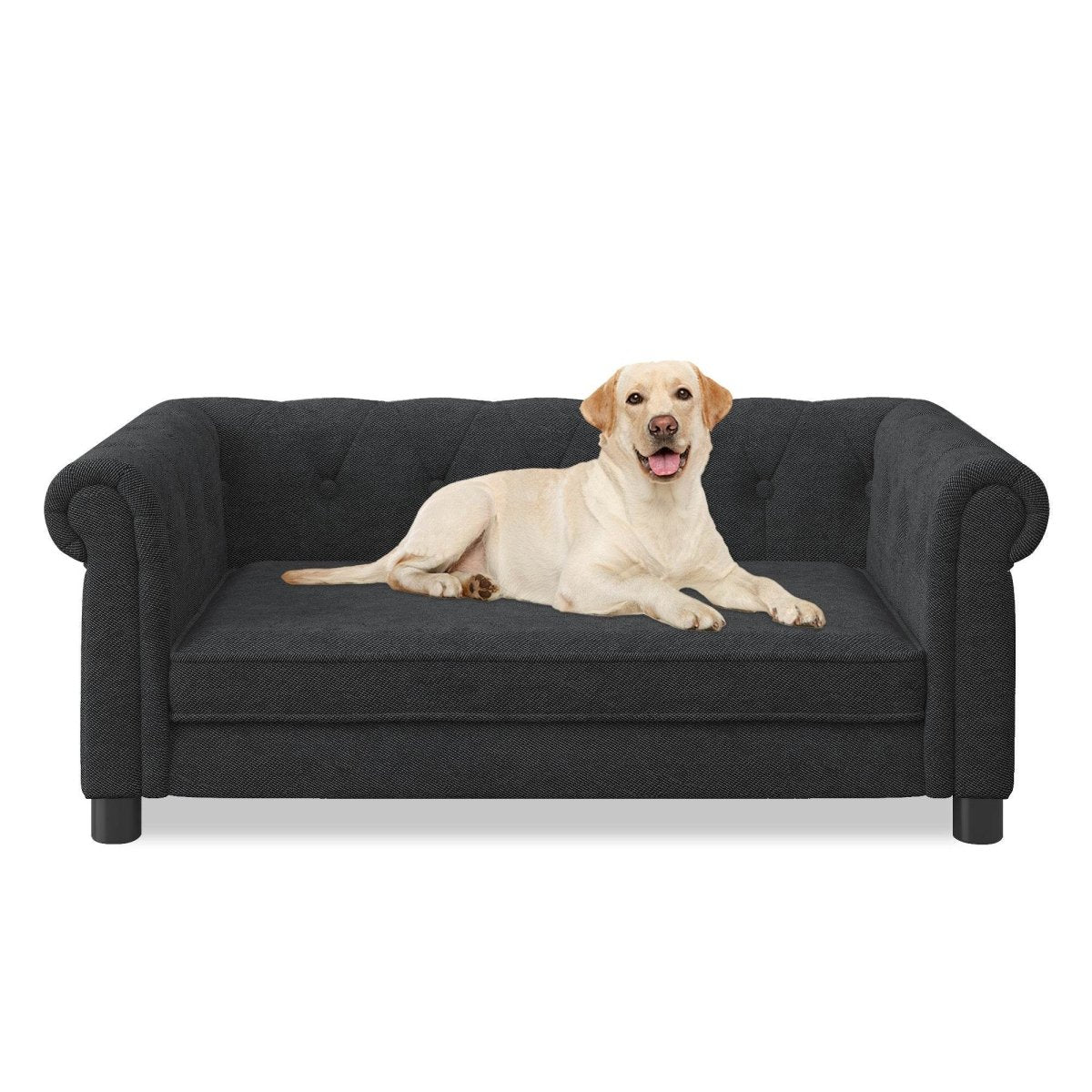 Modern Elevated Foam Pet Sofa Bed For Dogs - Sleep Galleria