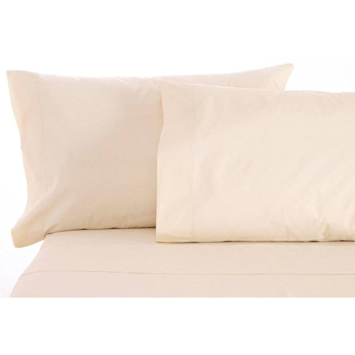 Sleep & Beyond Pillow Case Classic Ivory / Standard/Queen Sleep & Beyond 100% Organic Cotton Pillow Case Pair