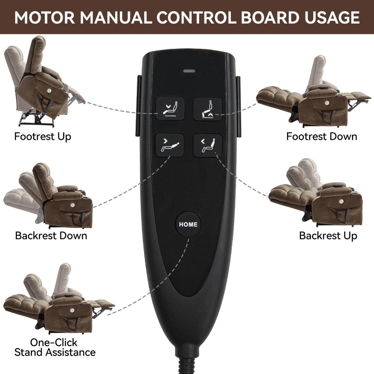 Brown Dual Motor Infinite Position Up to 350 LBS - Sleep Galleria - Sleep Galleria