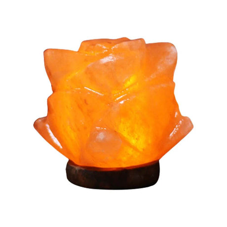 Himalayan Crystal Salt Rock Lamp with Base - Sleep Galleria - Sleep Galleria