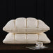 Pair Of Goose Down Feather Neck Pillows - Sleep Galleria - Sleep Galleria
