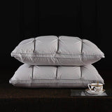 Pair Of Goose Down Feather Neck Pillows - Sleep Galleria