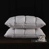 Pair Of Goose Down Feather Neck Pillows - Sleep Galleria