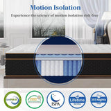 Medium 12-Inch Hybrid Pocket Spring Memory Foam Mattress - Sleep Galleria
