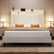 Corduroy Upholstered Platform Bed Frame with LED Lighting and Charging Station - Somnio - Sleep Galleria