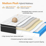 Medium Plush 12 - Inch Hybrid Mattress - Somnio - Sleep Galleria
