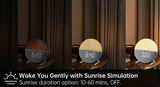 Wake Up Light Sunrise Alarm Clock with Natural Sounds - Sleep Galleria
