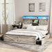 Platform Bed Frame With Storage Drawers LED Lighting Power Strip - Vabches - Sleep Galleria
