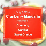Cranberry Mandarin Scented 20 oz Glass Jar Candle - XMSJ - Sleep Galleria