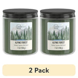 Pack Of 2 Alpine Forest Scented Jar Candles - XMSJ - Sleep Galleria