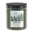 Pack Of 2 Alpine Forest Scented Jar Candles - XMSJ - Sleep Galleria