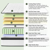 12 - Inch Hybrid Foam Mattress With Pocket Springs - Zenvia - Sleep Galleria