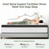 12 - Inch Hybrid Foam Mattress With Pocket Springs - Zenvia - Sleep Galleria